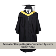 Bachelor's Gown