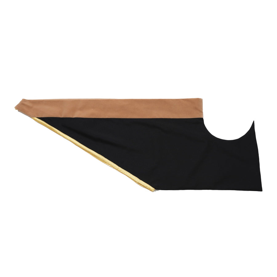 Doctoral Hood
