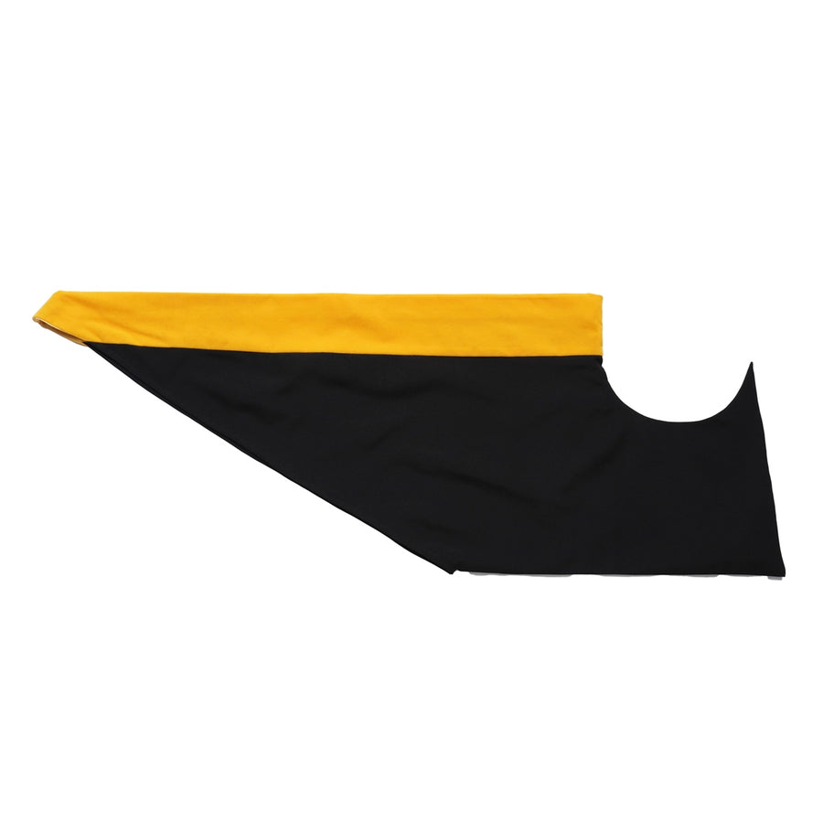 Doctoral Hood