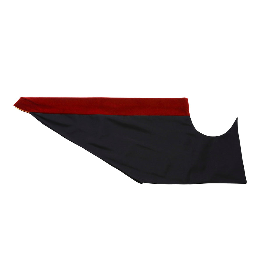 Doctoral Hood