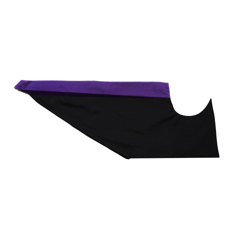 Doctoral Hood